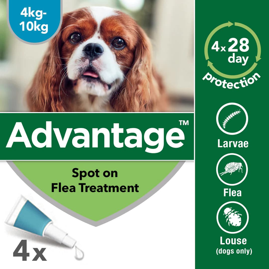 Advantage Spot-On Flea Treatment for Small Dogs - 4 Pack