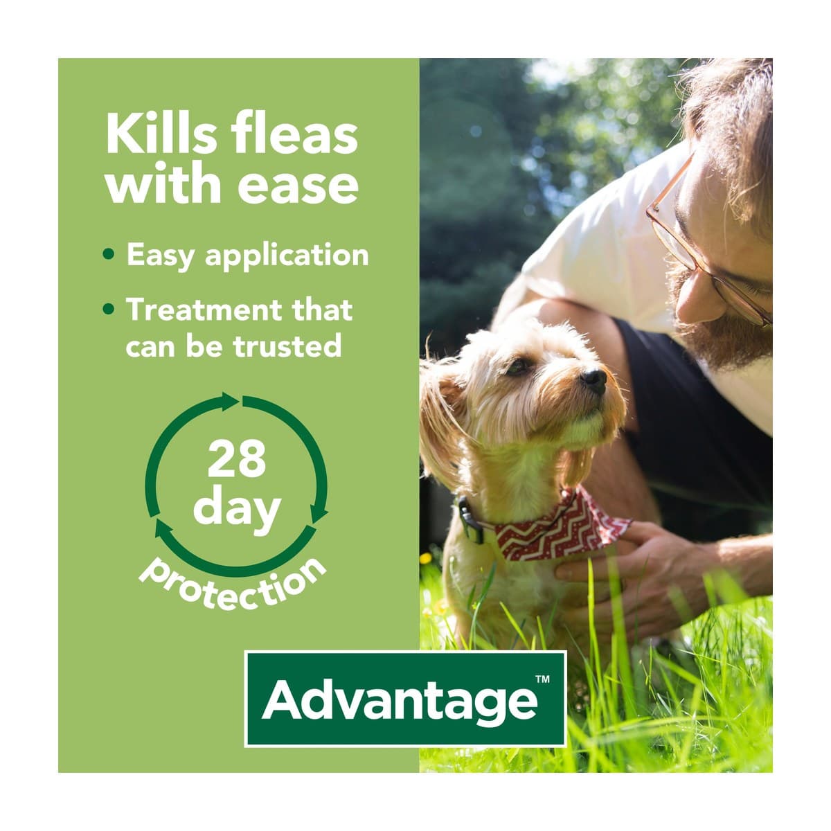Advantage Spot-On Flea Treatment for Small Dogs