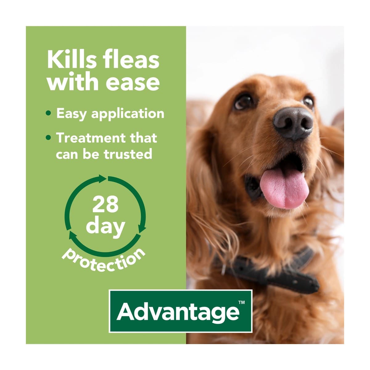 Advantage Spot-On Flea Treatment for Medium Dogs