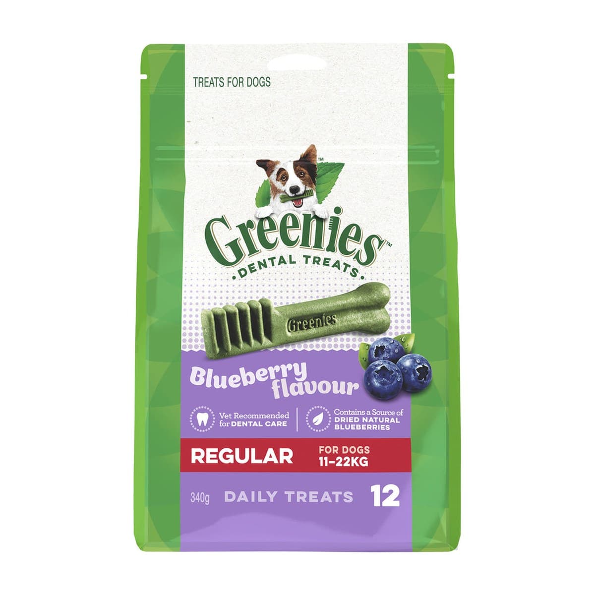 Greenies Blueberry Flavoured Dental Treats for Dogs - Regular - 340g